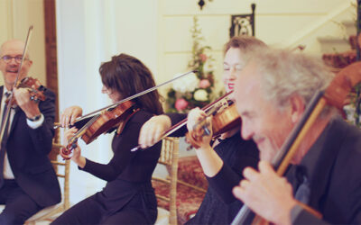 Les instruments du quatuor