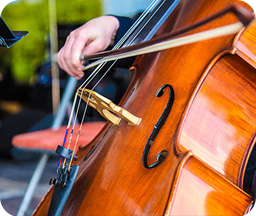 Les instruments sont du quatuor à cordes